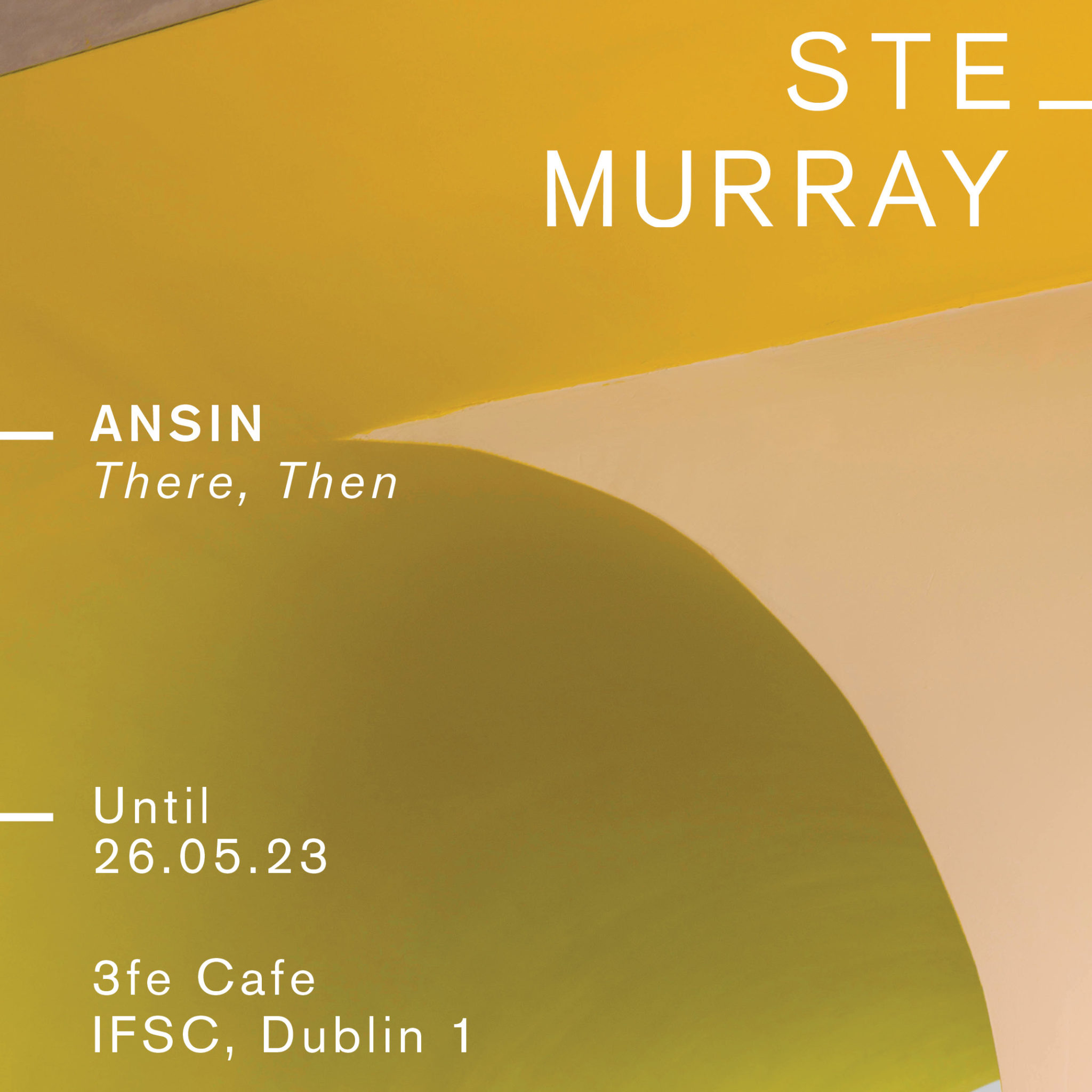 Ansin (There, Then) by Ste Murray