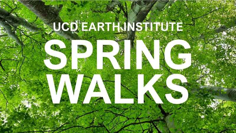 Spring campus walk: Belfield’s 1960s and 70s architectural heritage, with Ellen Rowley