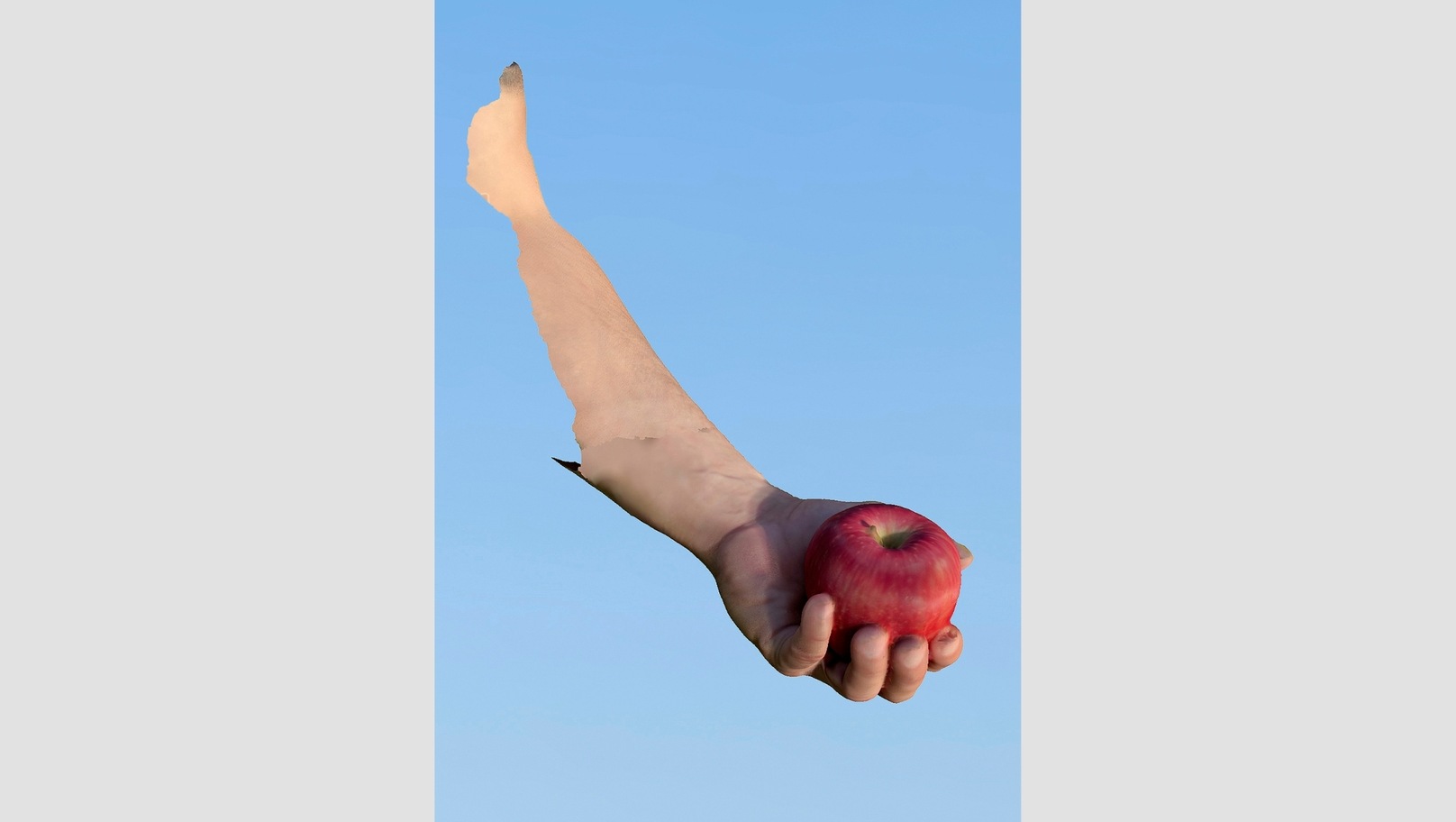 Afterimage: Photography in the Digital Age